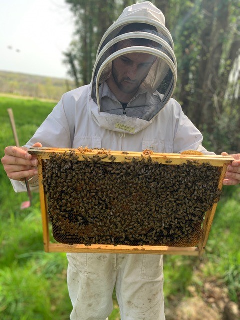UTPLA apiculteur Guillaume MICHEL