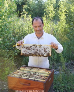 UTPLA apiculteur Pascal BOYARD