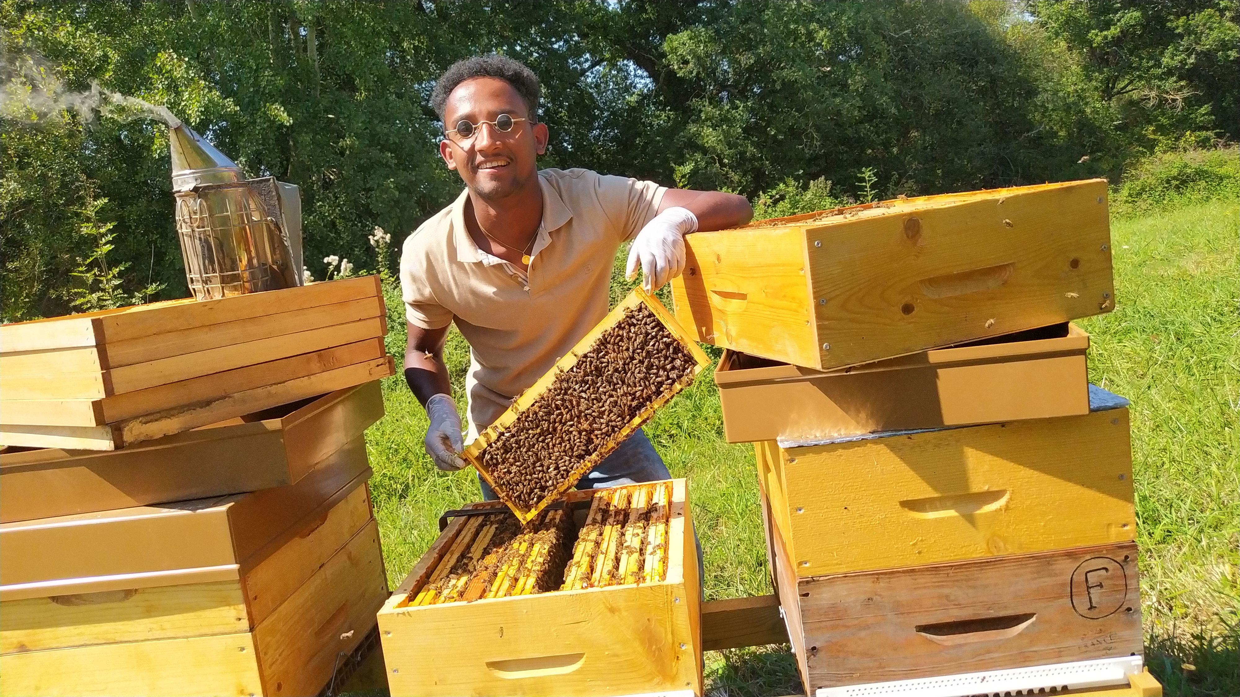 UTPLA apiculteur Emilien CAMIADE