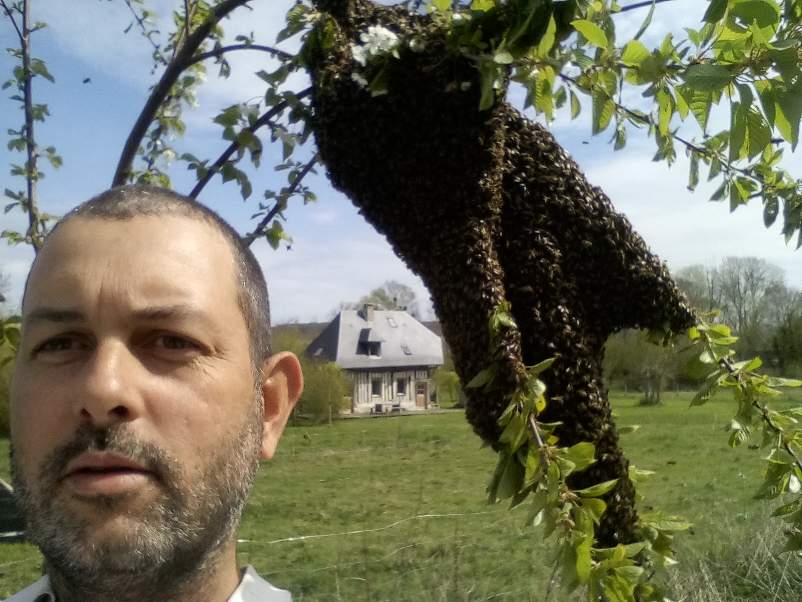 UTPLA apiculteur Wilfrid BOUCHER - Ruche : Pia (Le Havre)