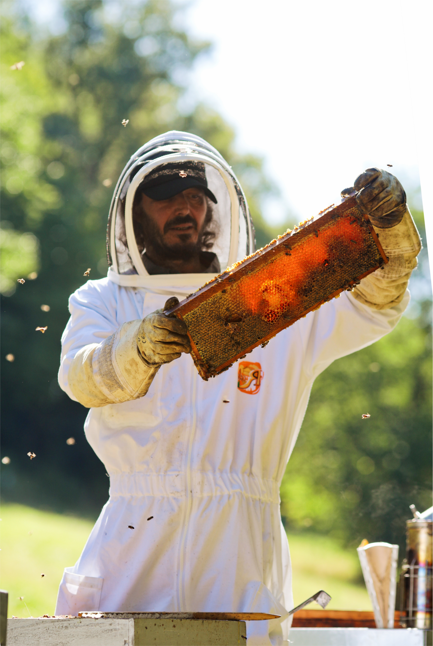 UTPLA apiculteur Denis SIGUIER
