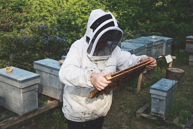 UTPLA apiculteur Isabelle MANSAIS