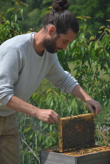 UTPLA apiculteur Romain QUINIO
