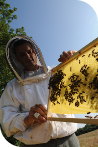 UTPLA apiculteur Régis LIPPINOIS