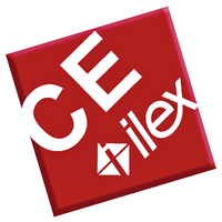 Logo Inetum - ilex cse