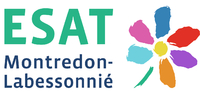 Logo Esat valérie bonafé - apajh du tarn