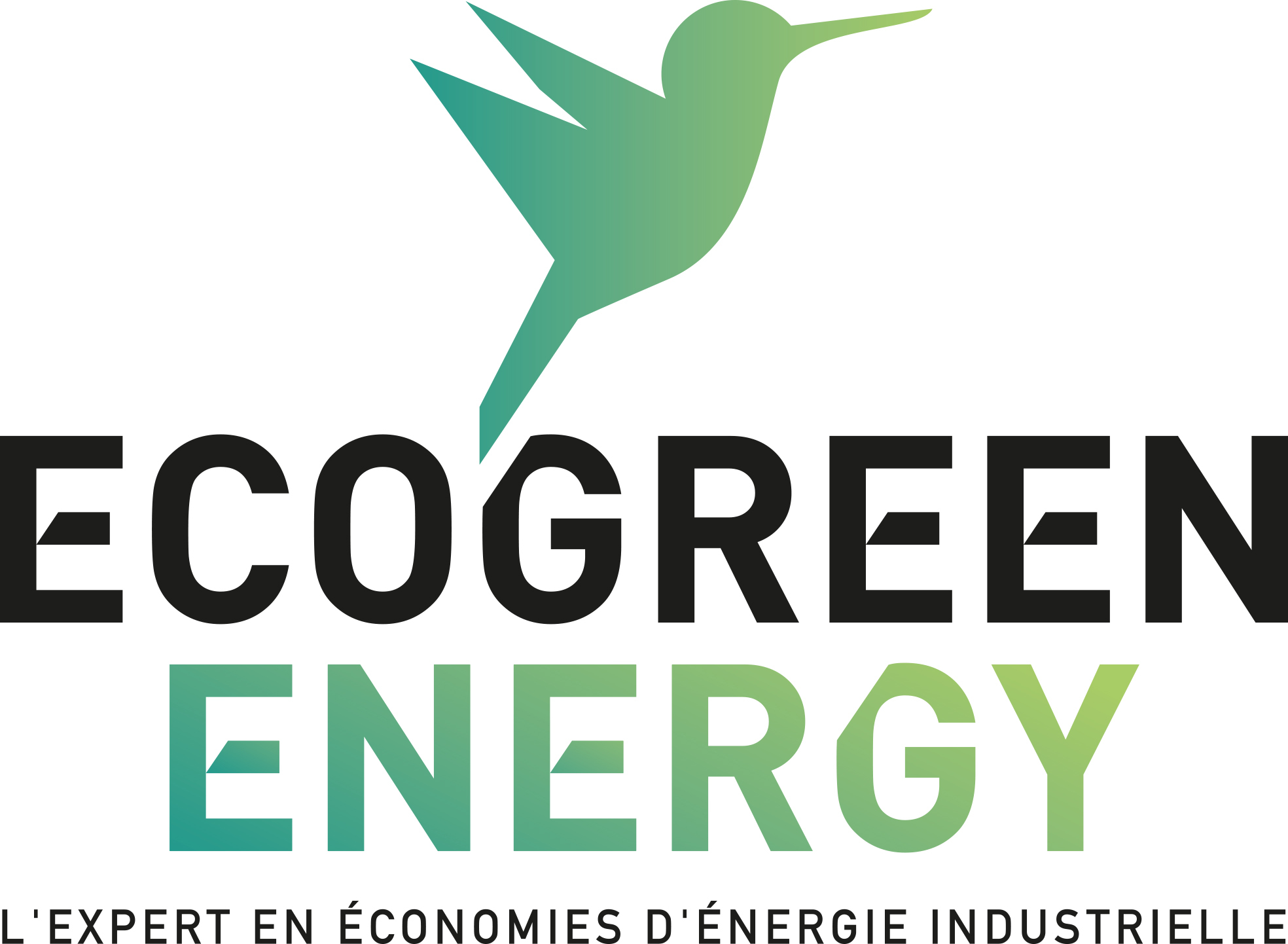 Logo Ecogreenenergy