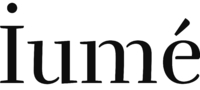 Logo Lemi