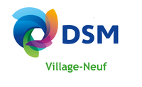 Logo DSM - VILLAGE NEUF