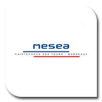 Logo MESEA