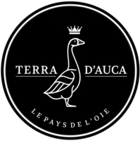 Logo TERRA D