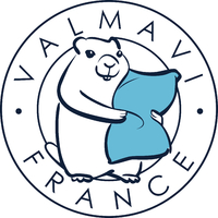 Logo Valmavi france