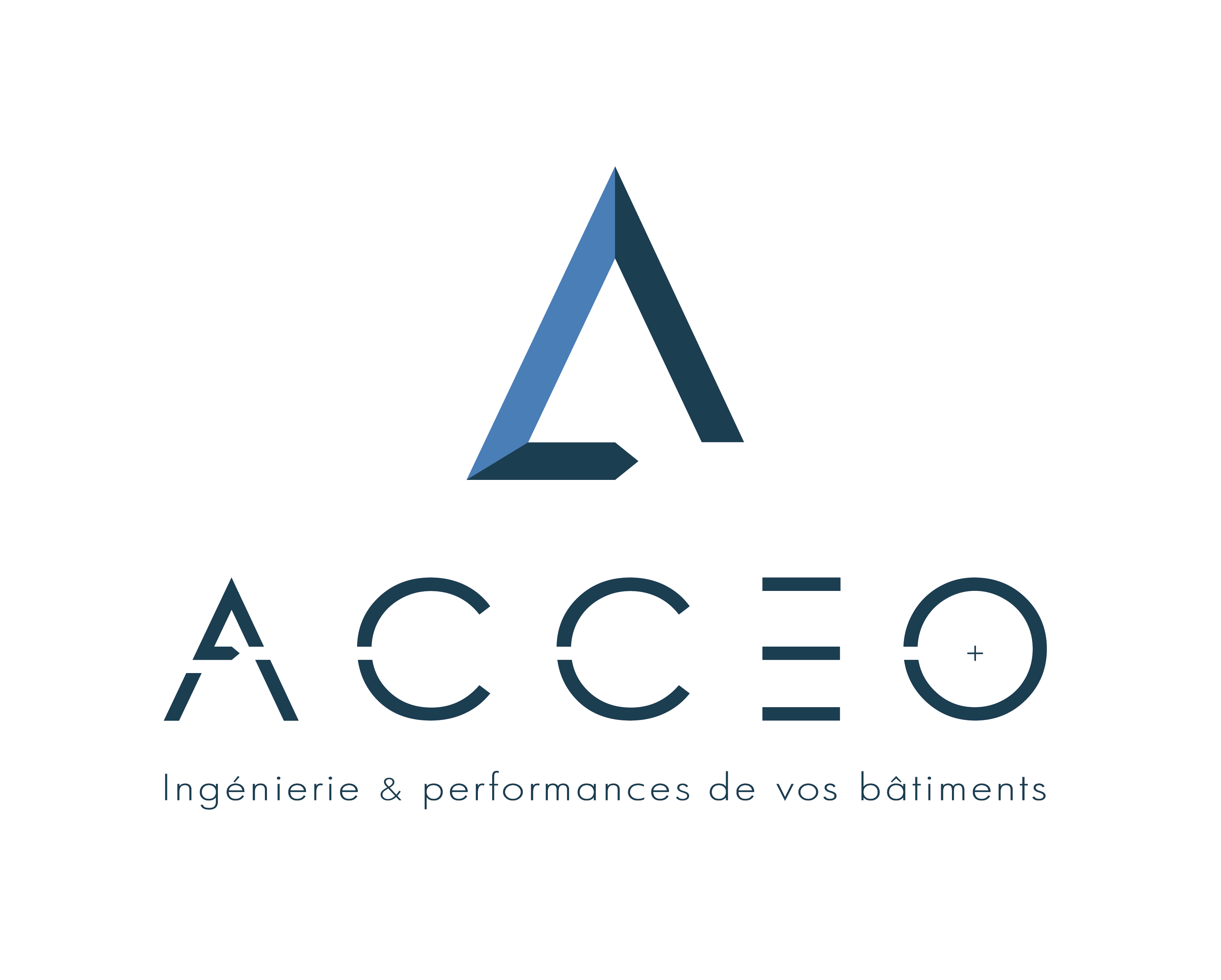 Logo Acceo group