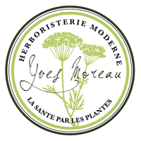 Logo HERBORISTERIE MODERNE