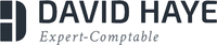 Logo David haye