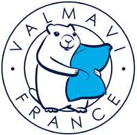 Logo Valmavi france