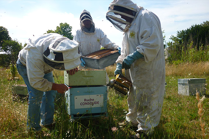 parrainez les abeilles, sauver les abeilles, apiculteurs
