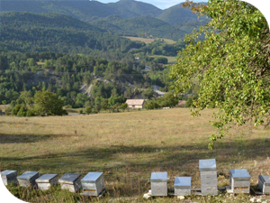 Le rucher de Val de Chalvagne