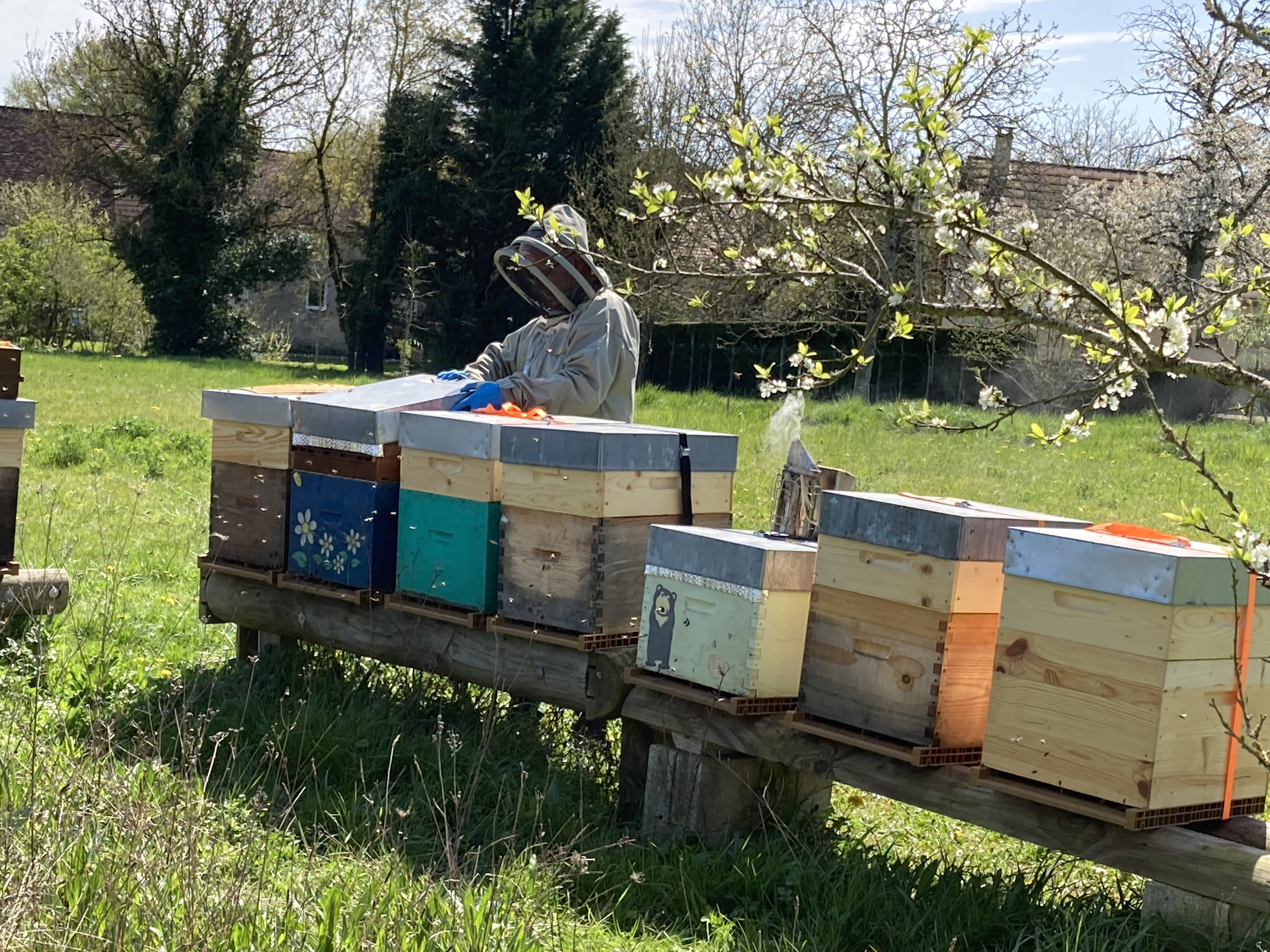 Rucher Le Bois des Dames