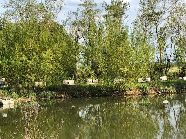 Le Rucher du Marais Poitevin