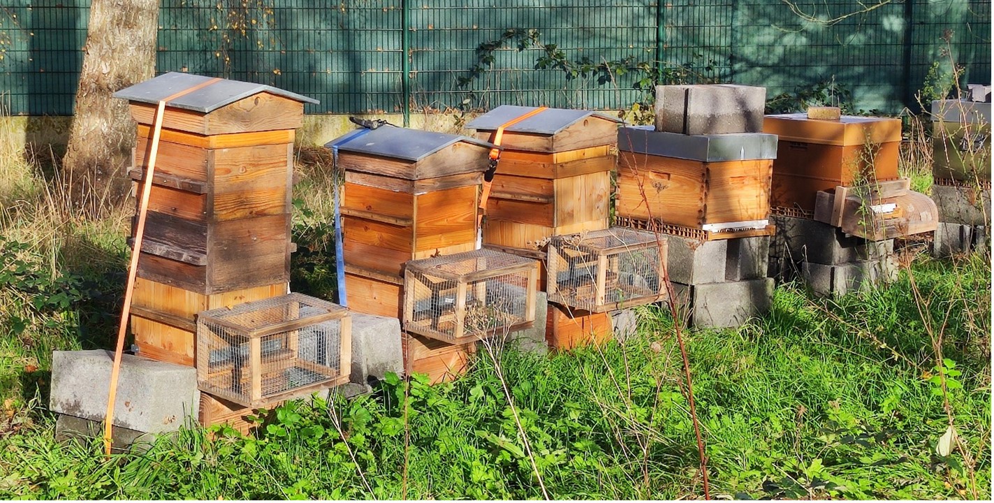 Les Abeilles de Beyla