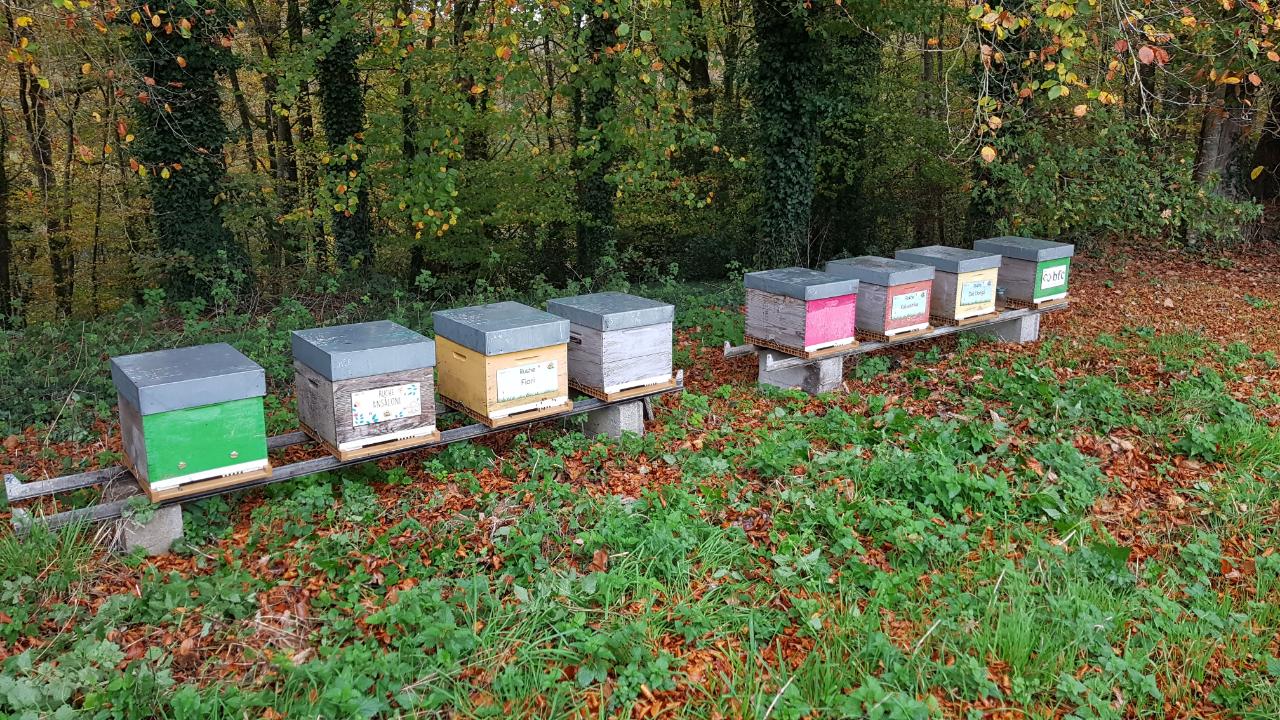 Le rucher de Kermorvan