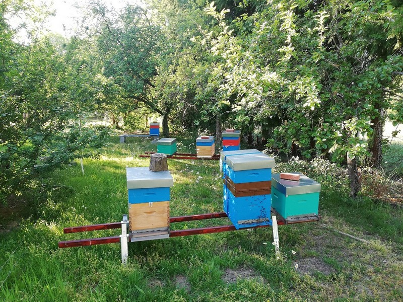 Le rucher connecté Les Jardins de Mélina