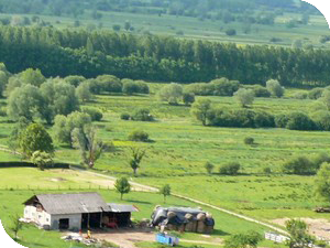 Le rucher de Marais-Vernier