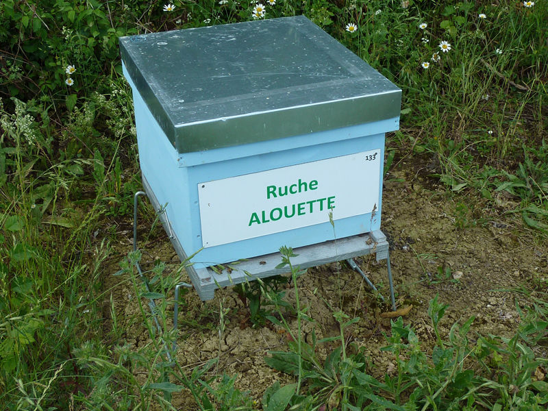 La ruche Alouette