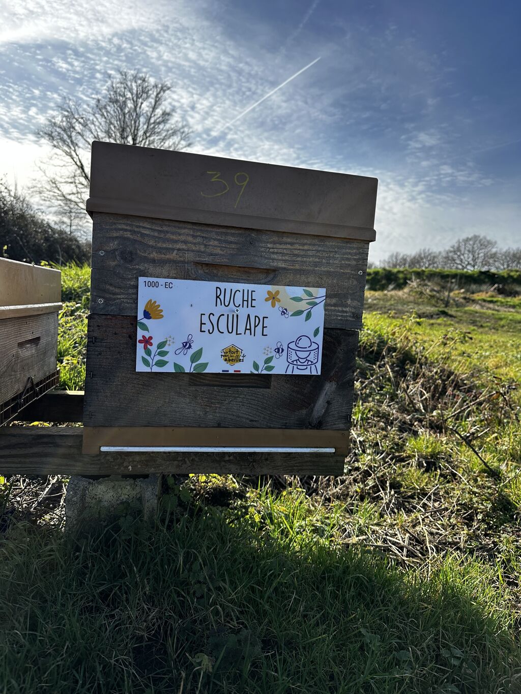 La ruche Esculape
