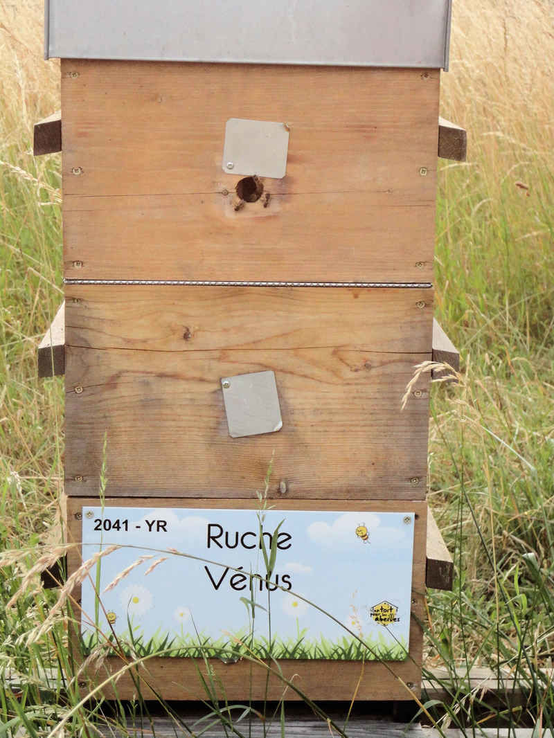La ruche