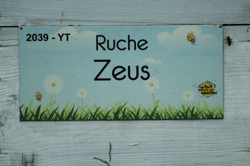 La ruche Zeus