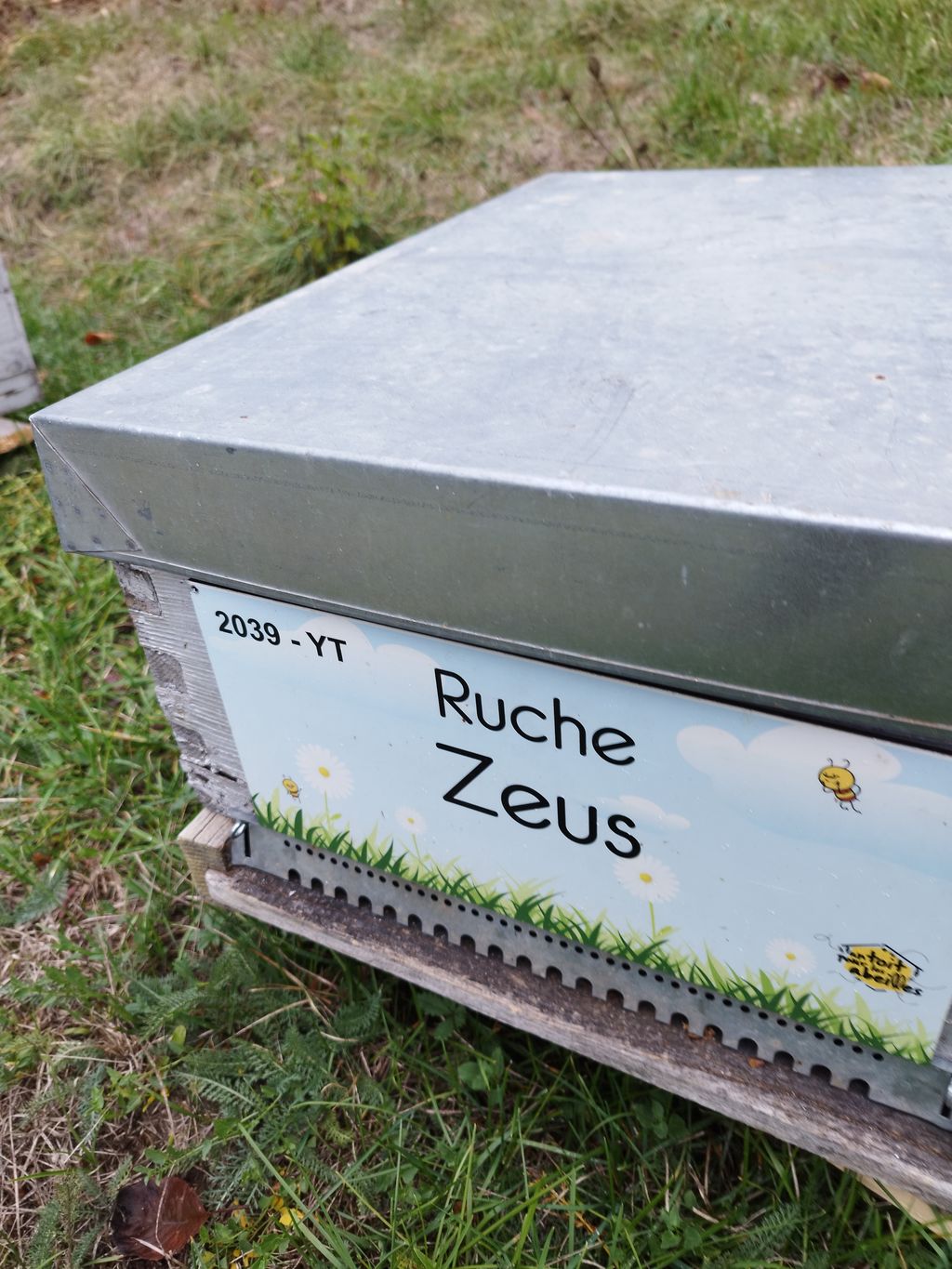 La ruche Zeus