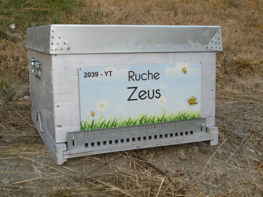 La ruche Zeus