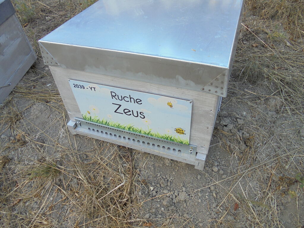 La ruche Zeus