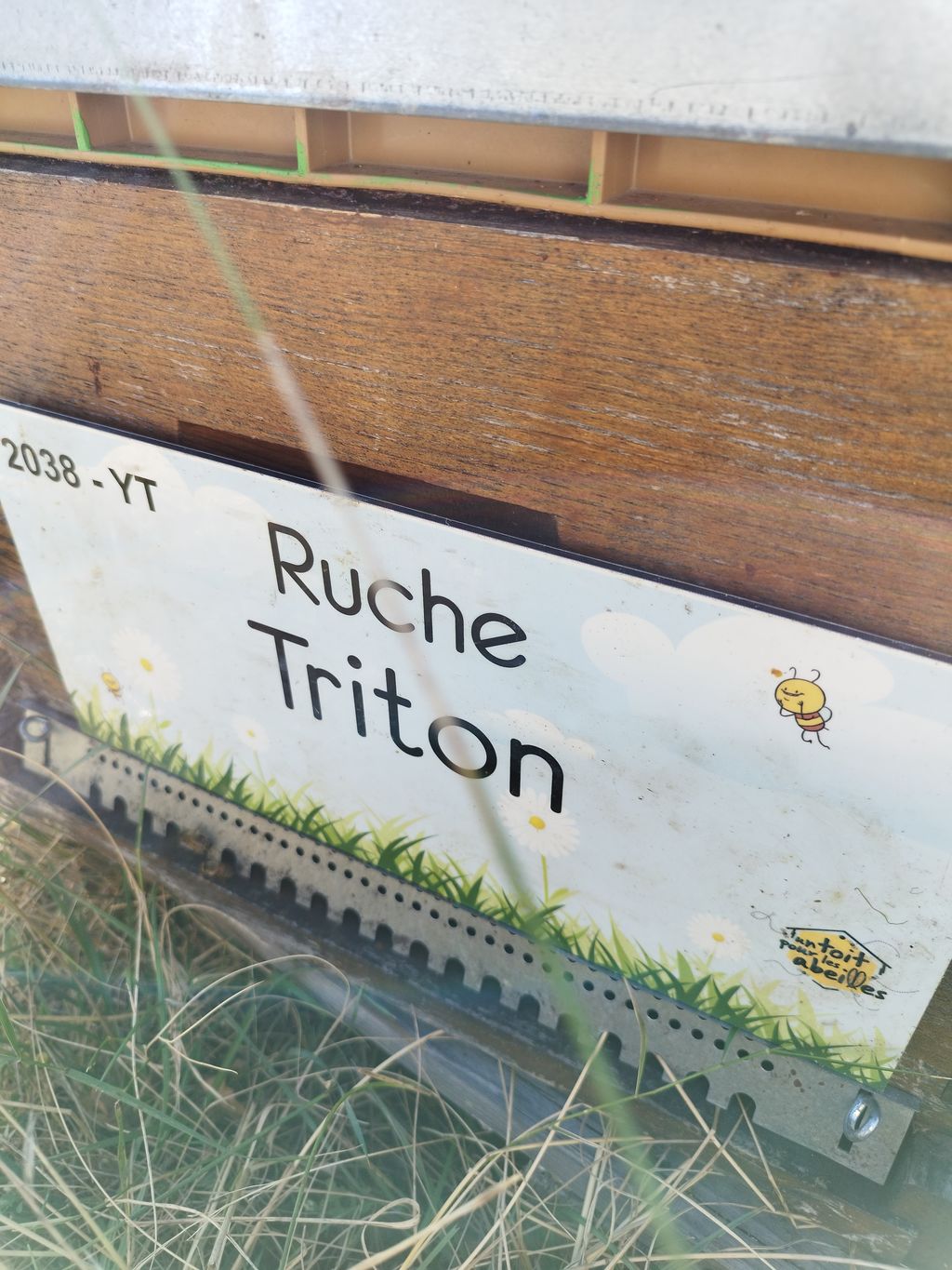 La ruche Triton