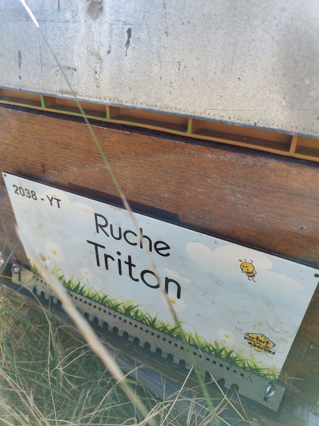 La ruche Triton