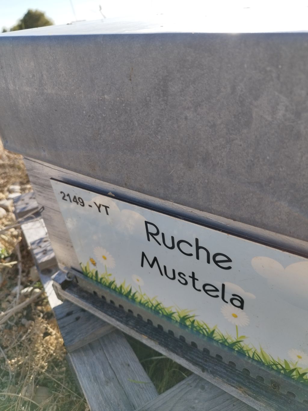 La ruche Mustela