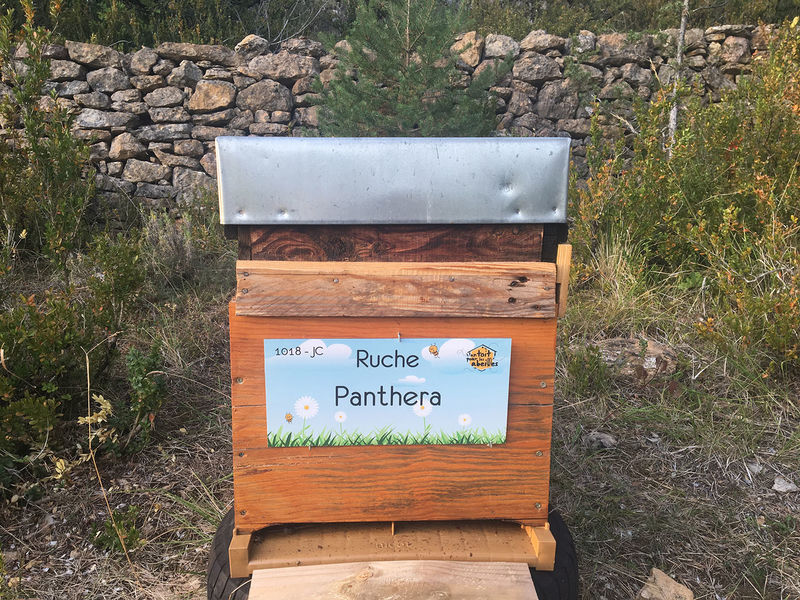 La ruche Panthera