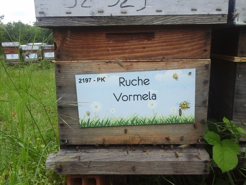 La ruche Vormela