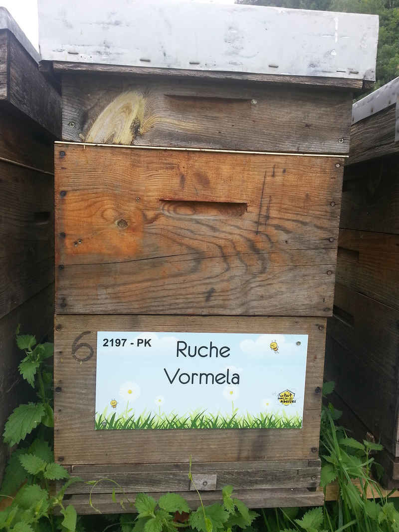La ruche Vormela
