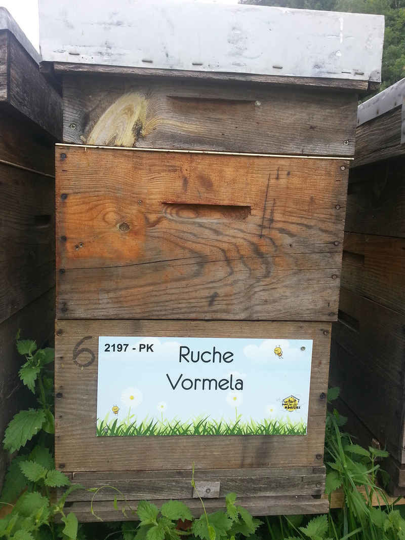 La ruche