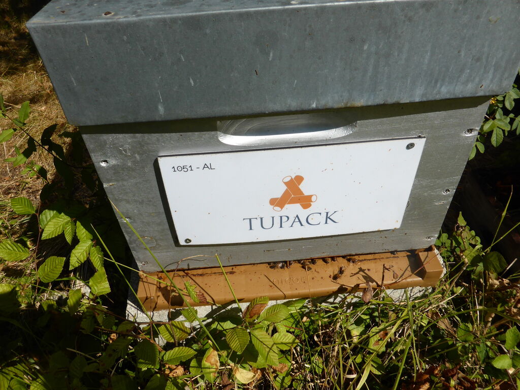 La ruche ALLPACK - TUPAK