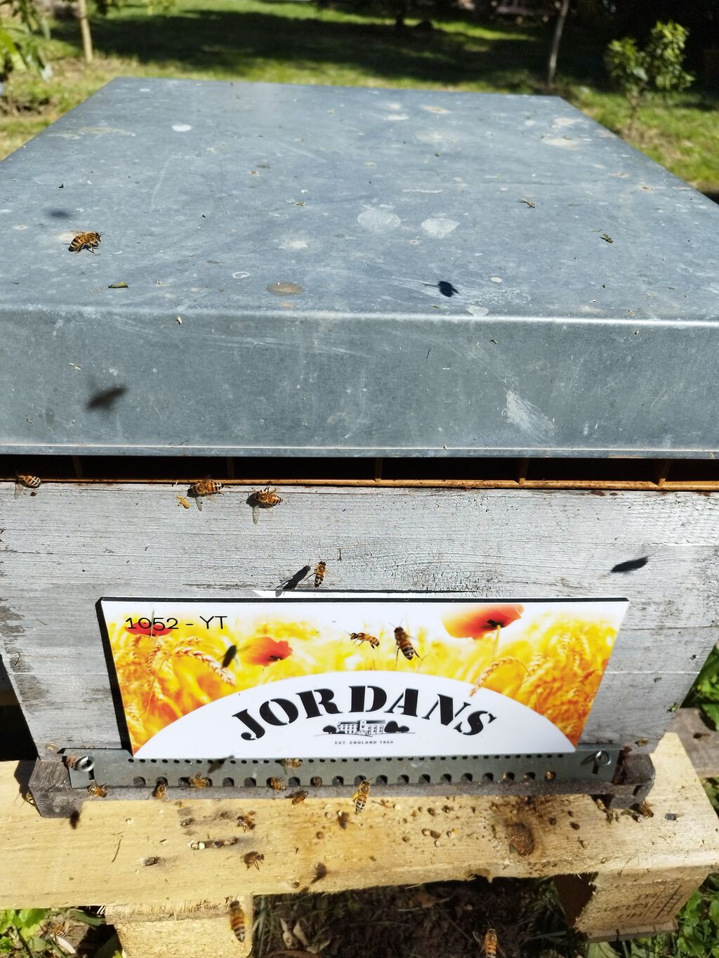 La ruche Jordans dorset ryvita