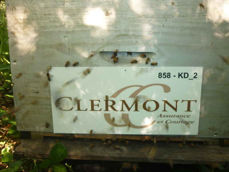 La ruche Clermont conseil