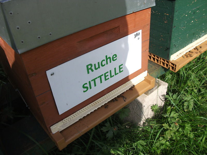 La ruche 