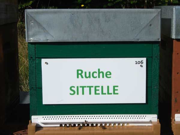 La ruche Sittelle