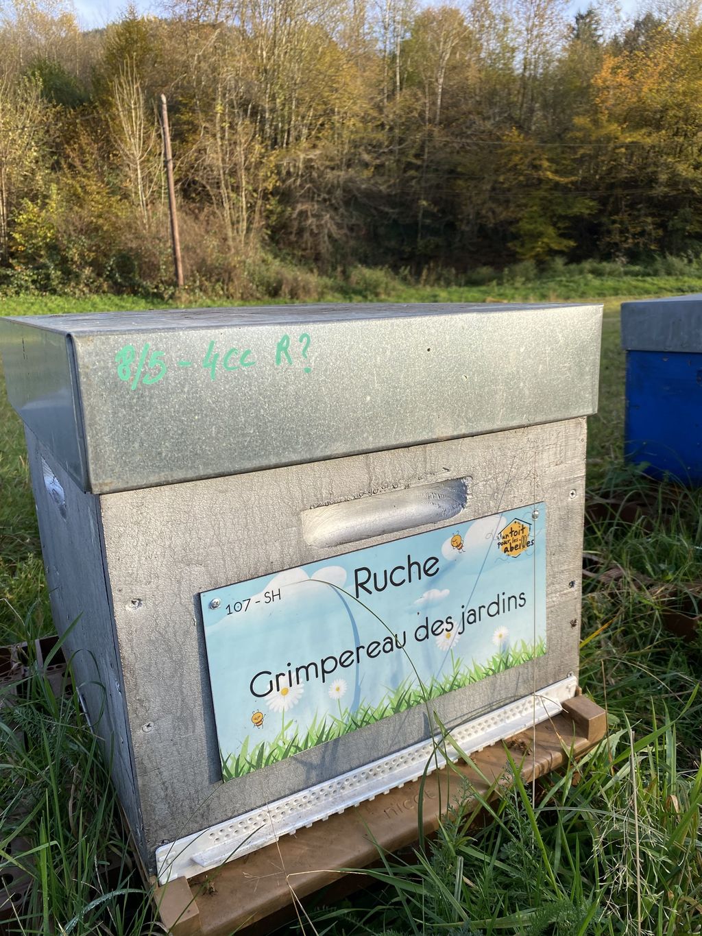 La ruche Grimpereau des jardins