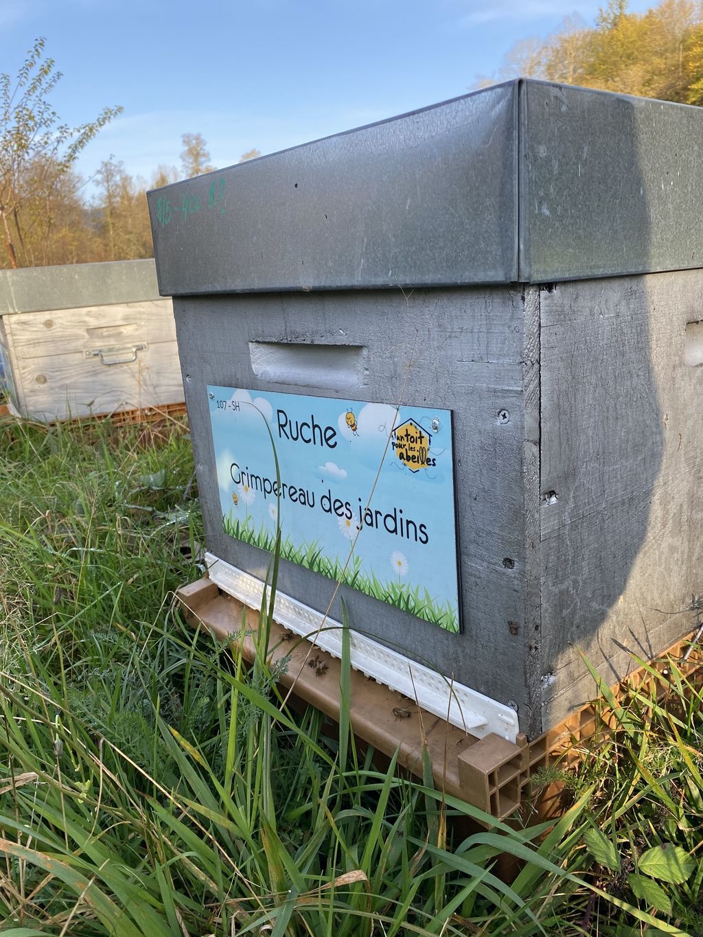 La ruche Grimpereau des jardins