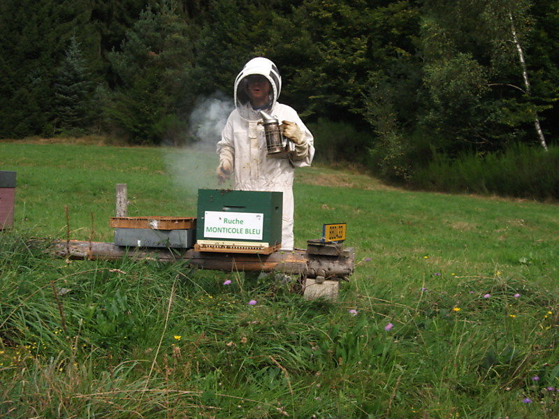La ruche Monticole bleu